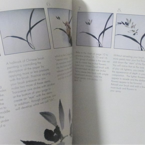 MC2 - 1st Ed. All Introduction To CHINESE BRUSH PAINTING Danny Han-Lin Chen - Picture 4 of 8